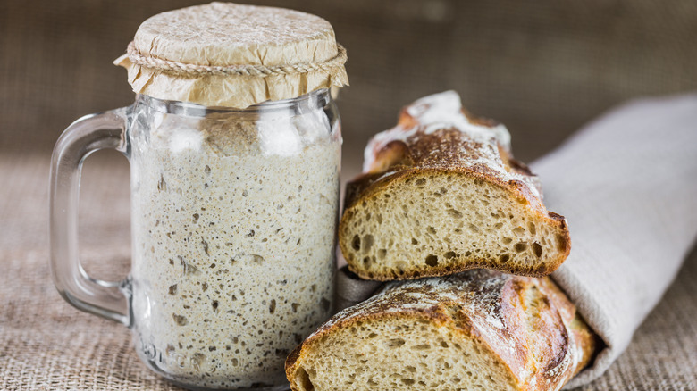 bread and dough starter