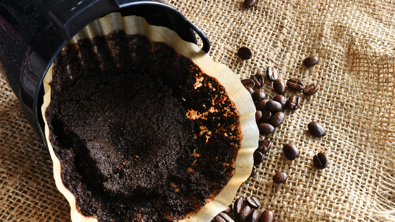 Used coffee grounds