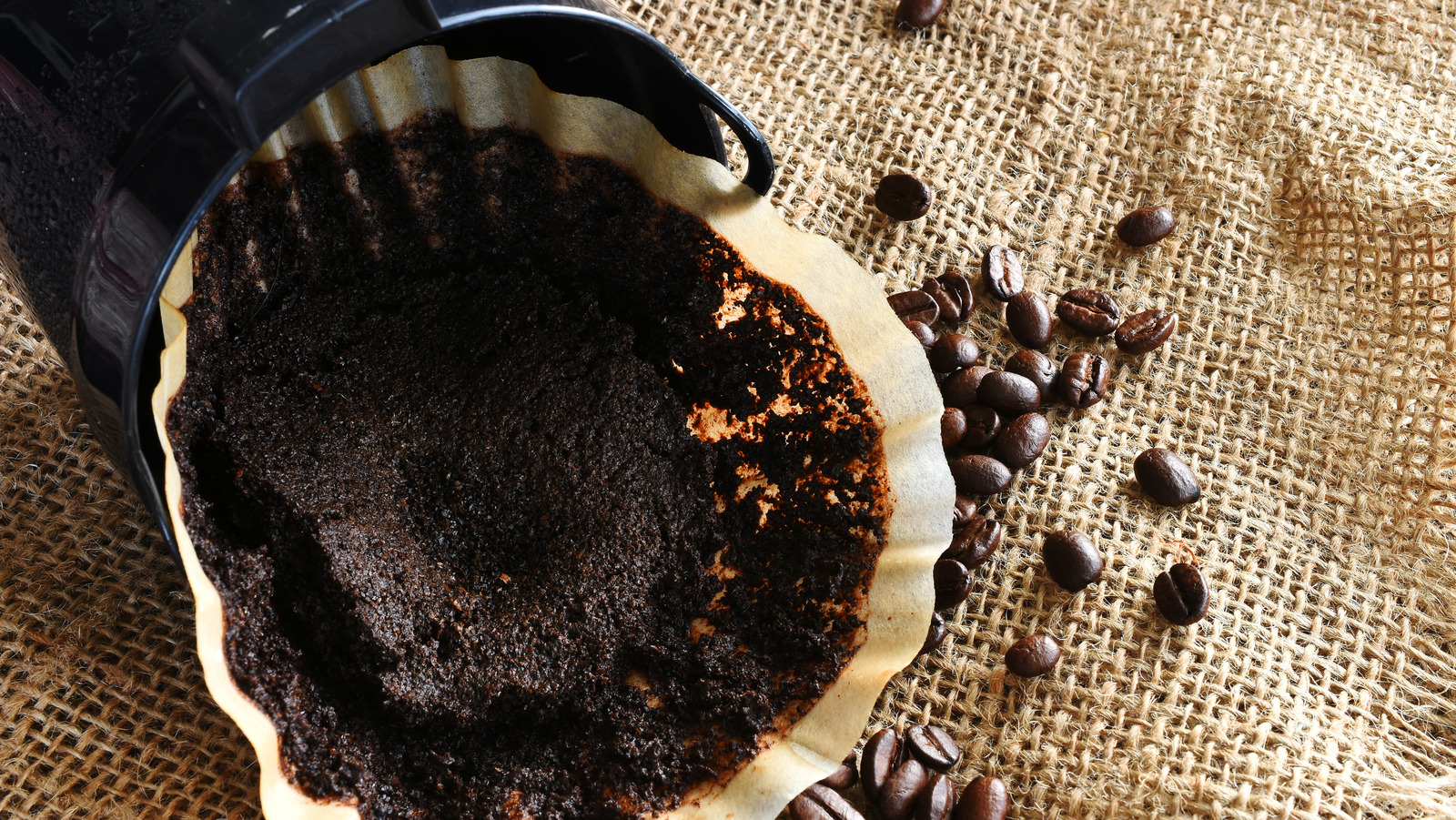 The Reason Coffee Grounds Can Help Deodorize Your Fridge
