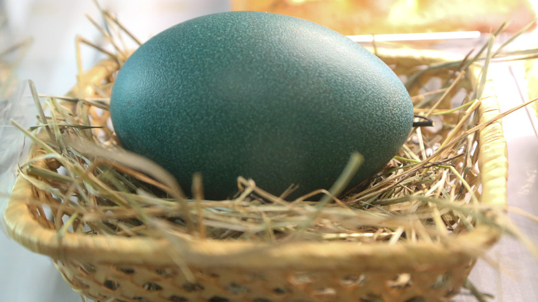 emu egg in basket