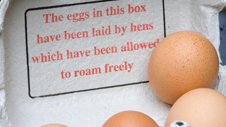 Free range egg carton