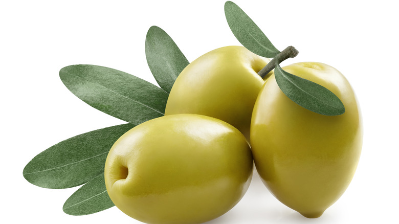 fresh olive fruit 