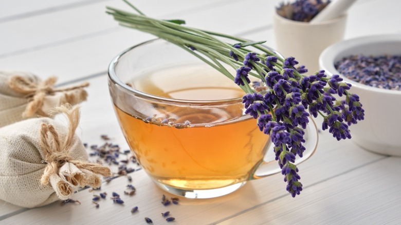 Tea in cup with plant