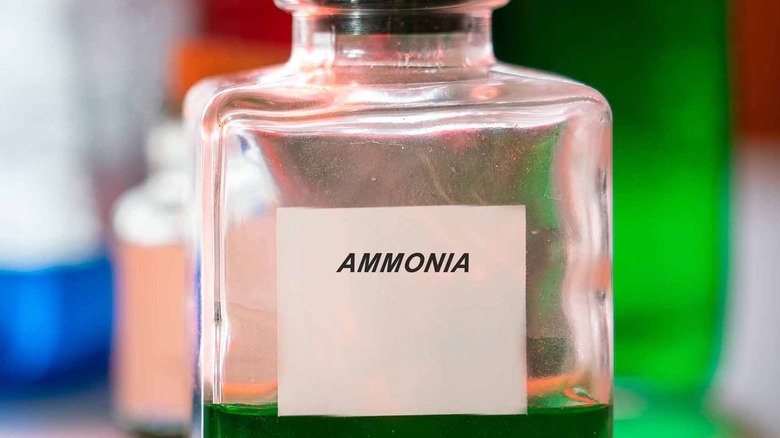 Bottle of ammonia chemical