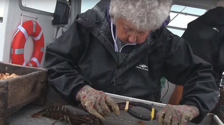 Virginia Oliver banding a lobster