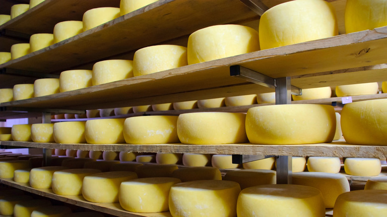 Sao Jorge cheese maturing on shelves 