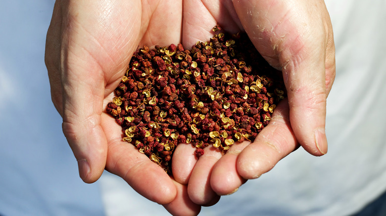 Farmer holding Sichuan peppercorns