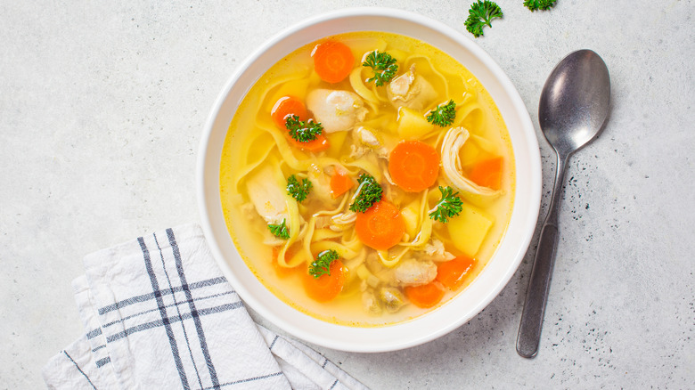 chicken noodle soup