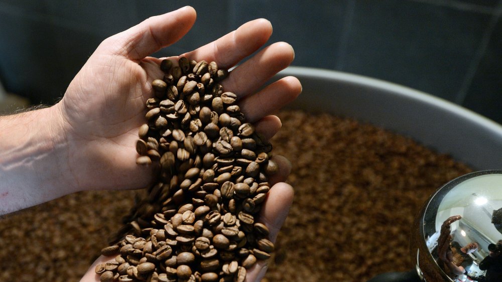 Fresh coffee beans