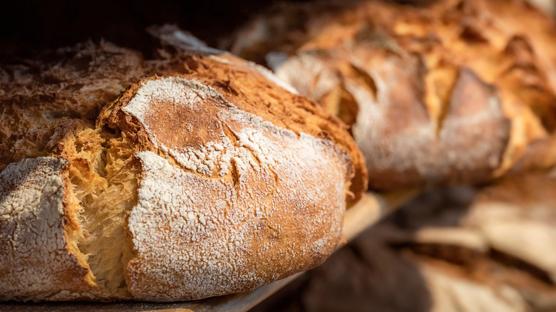 round baked loaves