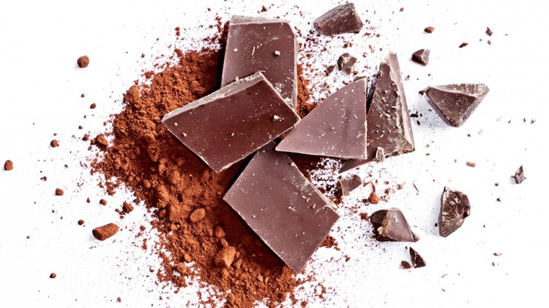 Chocolate pieces and cocoa powder