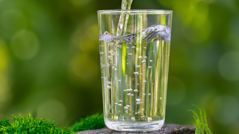 Glass of water in a natural, outdoor setting