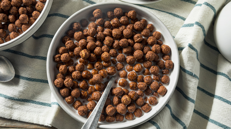 Bowl of chocolate-flavored cereal