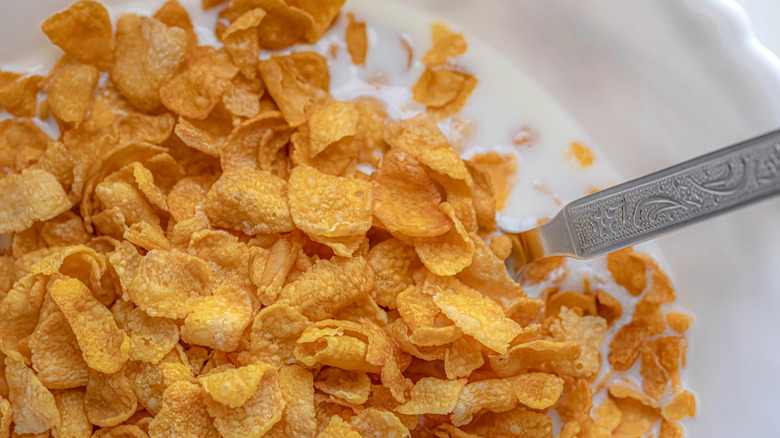 A bowl of cornflakes and a metal spoon