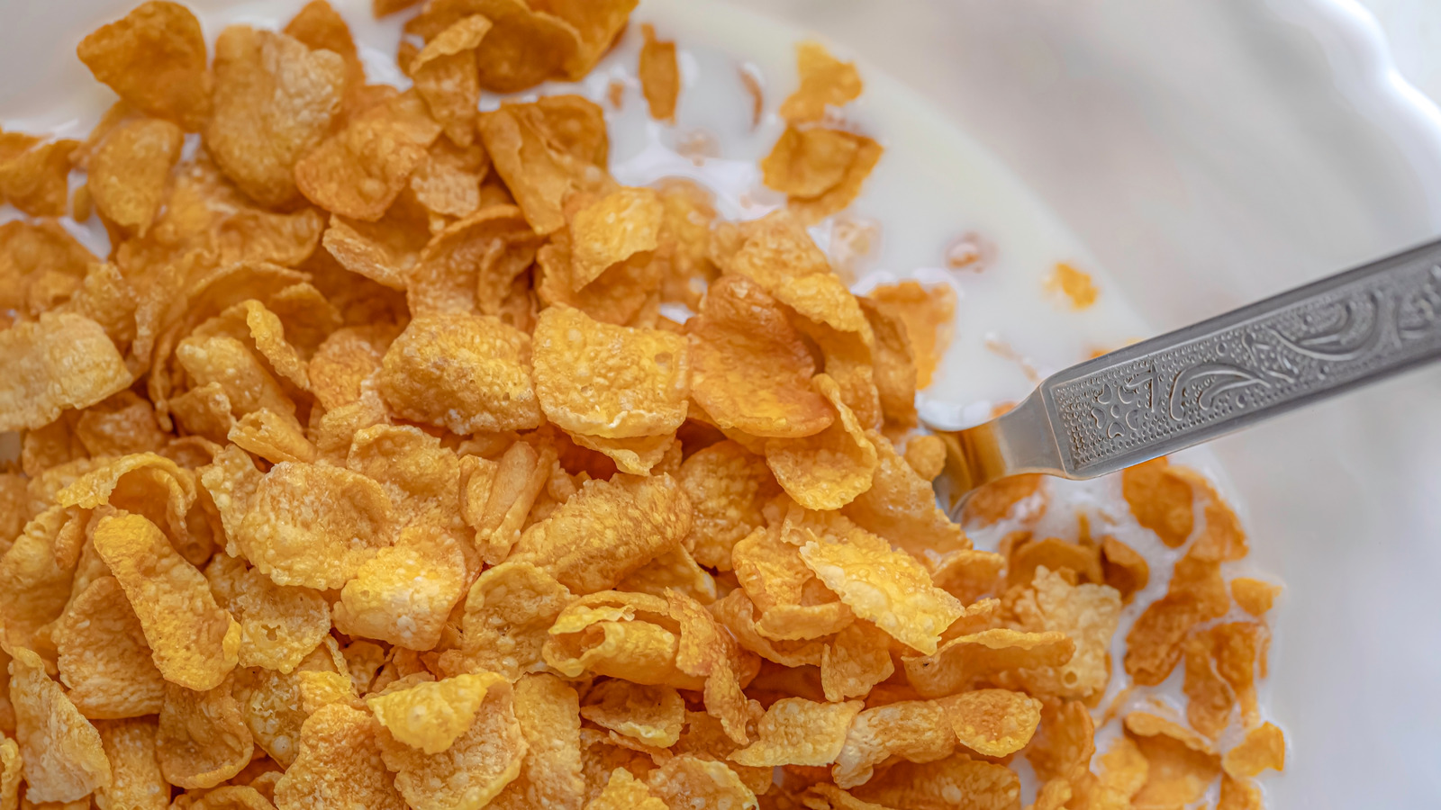 The Ridiculous Price This Illinois-Shaped Corn Flake Sold For