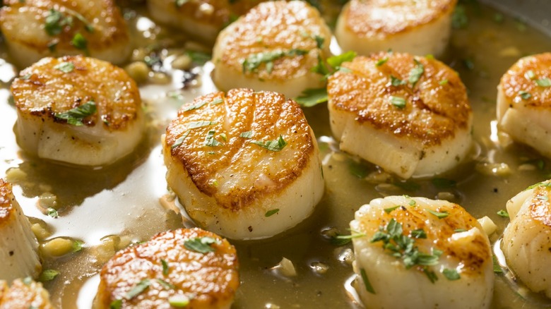 Seared scallops