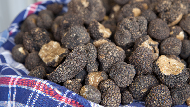 basket of black truffles