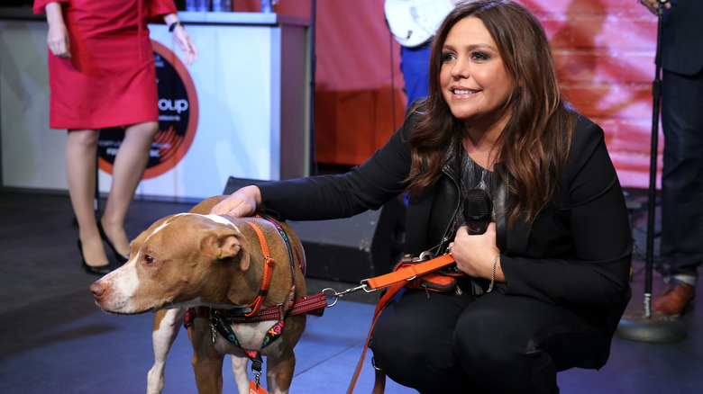 Rachael Ray with her pet pitbull, Isaboo at an event