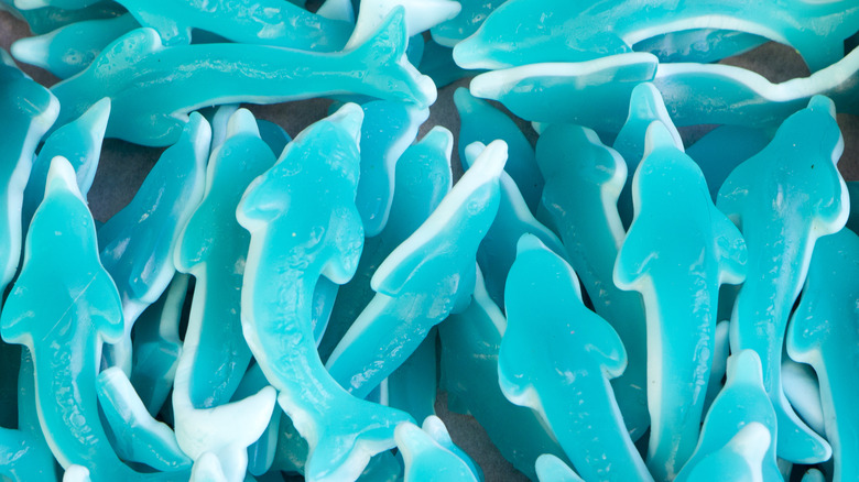 a pile of gummy sharks