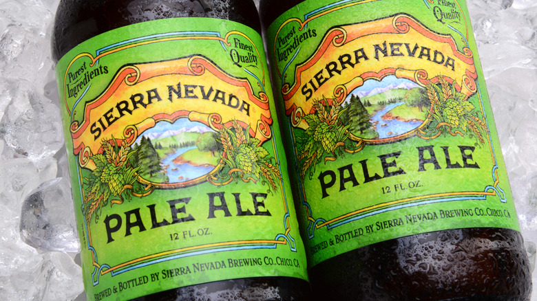 two Pale Ale bottles on ice