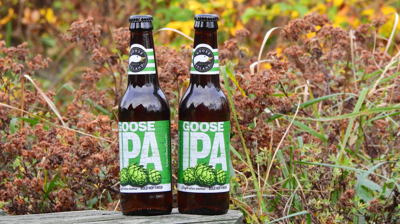 two Goose IPA bottles amidst plants