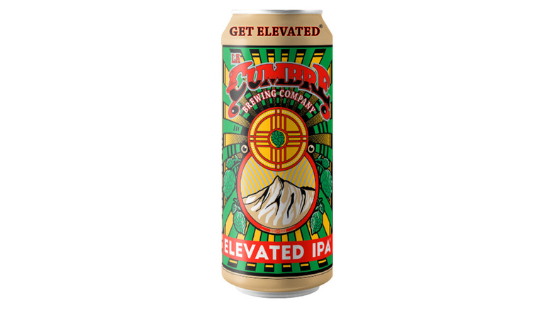 can of Elevated IPA on white background