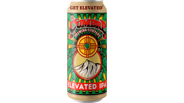 can of Elevated IPA on white background