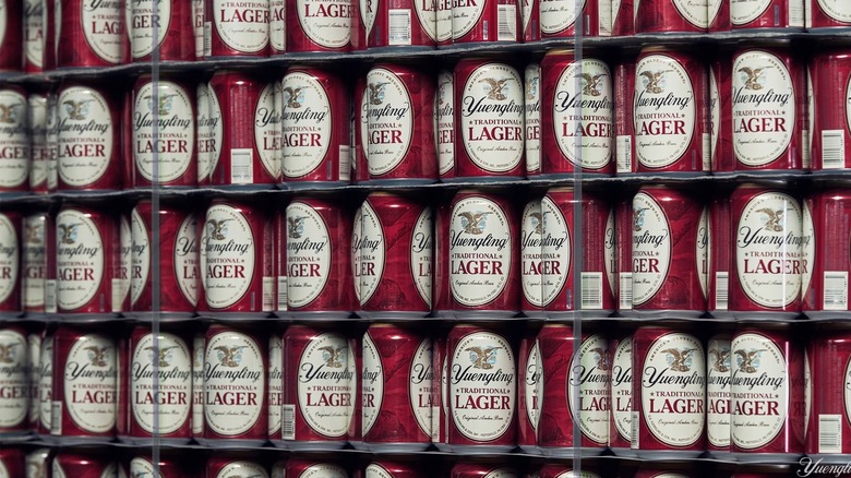 a bunch of Traditional Lager cans