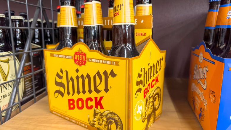 Shiner Bock six-pack on store shelf