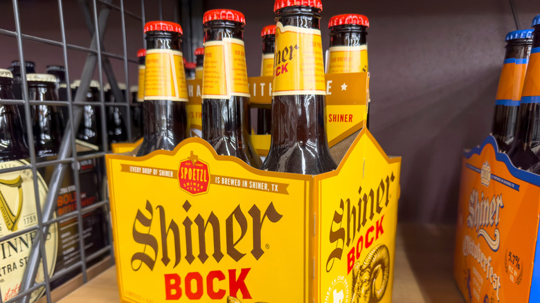 Shiner Bock six-pack on store shelf