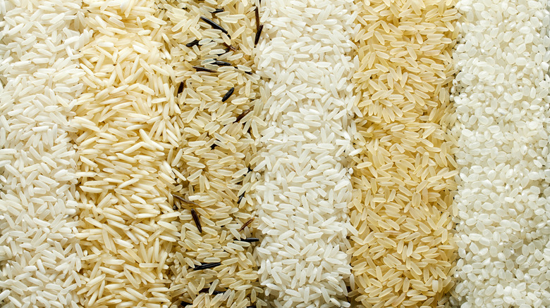 Rows of white, brown, and wild rices in closeup photo