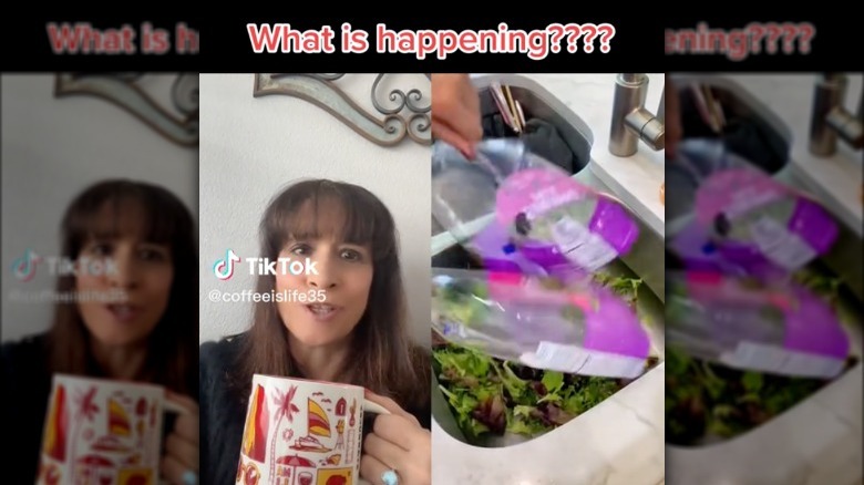 Sink Salad