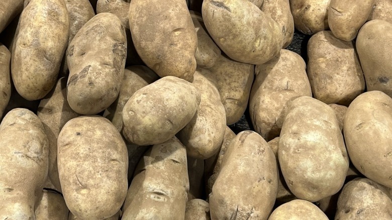 A large pile of russet potatoes