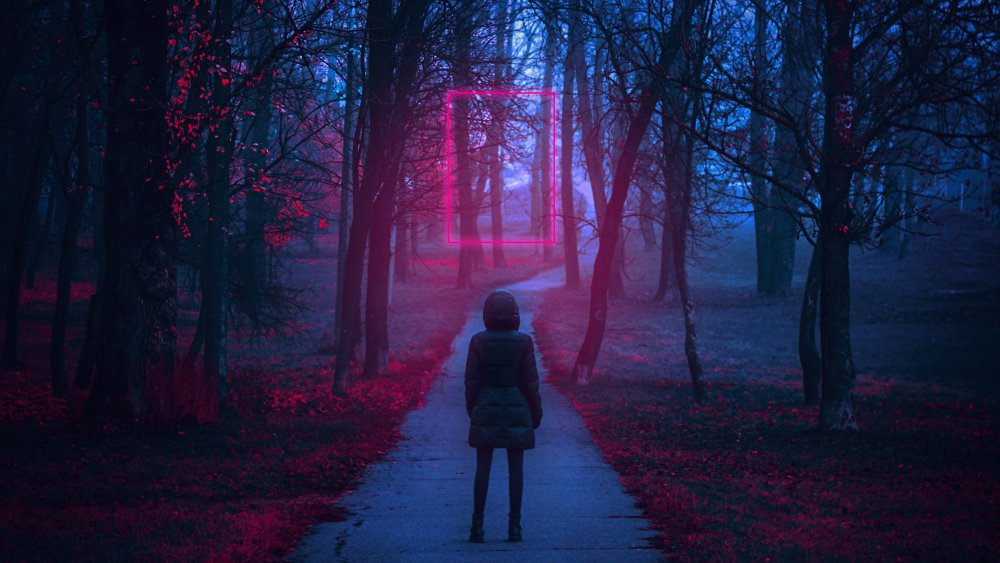 Person standing in the Stranger Things' upside down