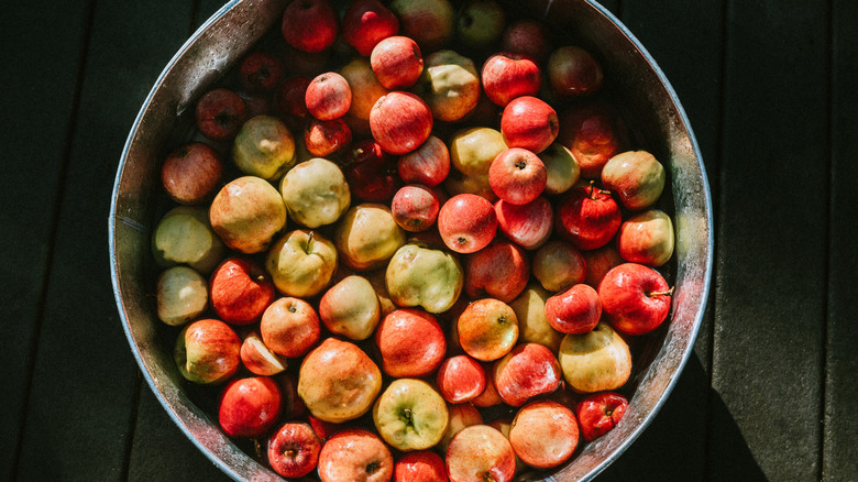 Apples in a metal bucket