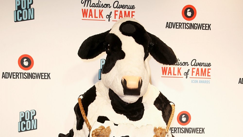 Chick-fil-A cow