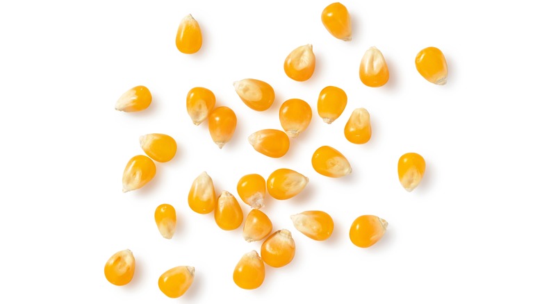 corn kernels