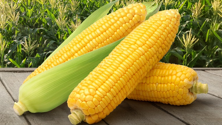 corn on the cob
