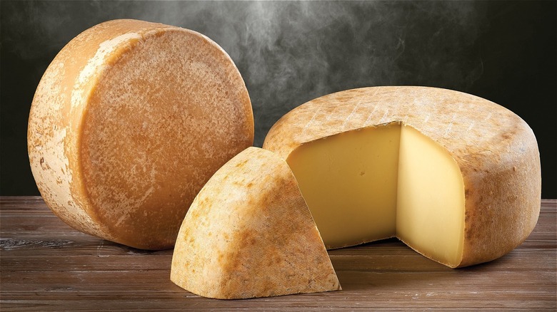 wheels of cheese aging on shelves