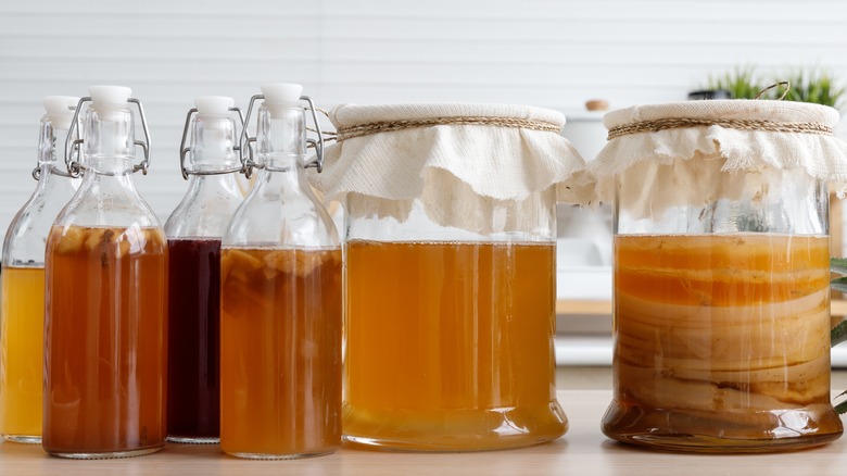 bottles and jars of kombucha