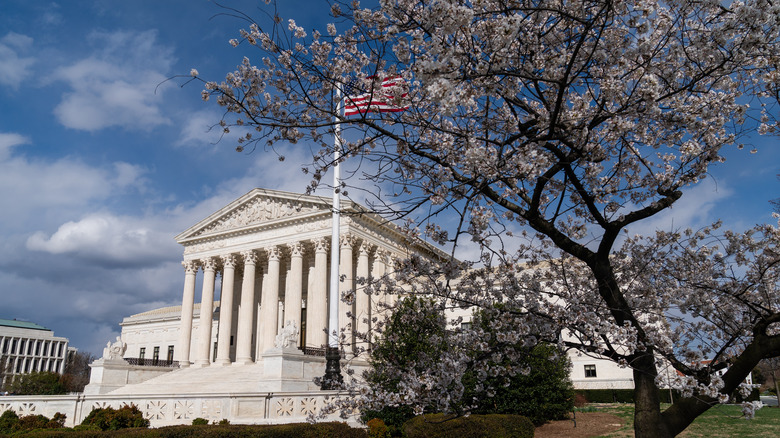 Supreme Court with cherry blossoms