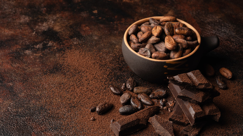 Cocoa beans, cocoa powder and chocolate