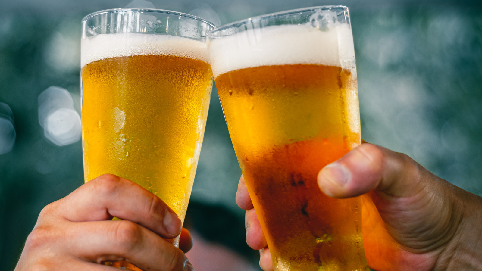 The Surprising Reason One Brewery Is Using Goose Poop In Its Beer