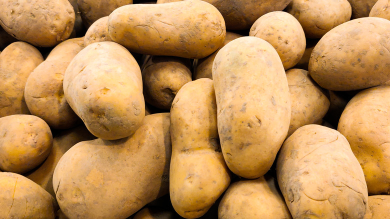 Collection of potatoes