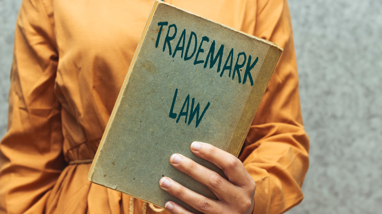 Person holding trademark law book