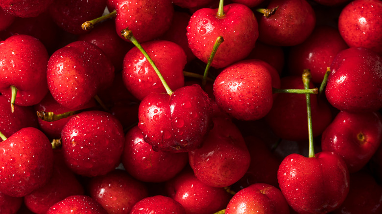 Bright red cherries on the stem