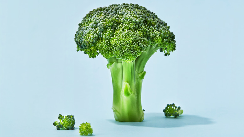 Broccoli stalk