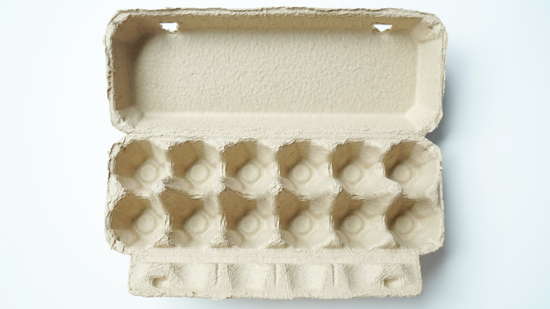 Empty open egg carton