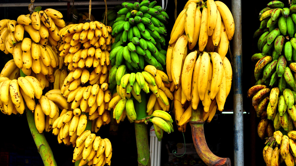 Assorted bananas hanging in India