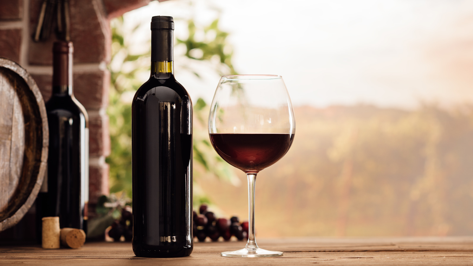 The Surprisingly OldSchool Way This French Winemaker Protected Its Crop